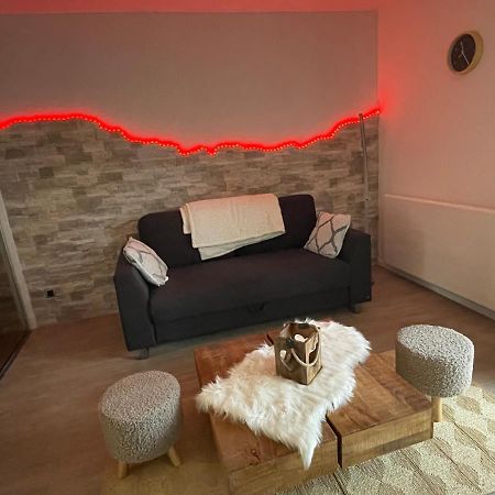 Charmant Studio En Pleine Nature Klingenthal エクステリア 写真