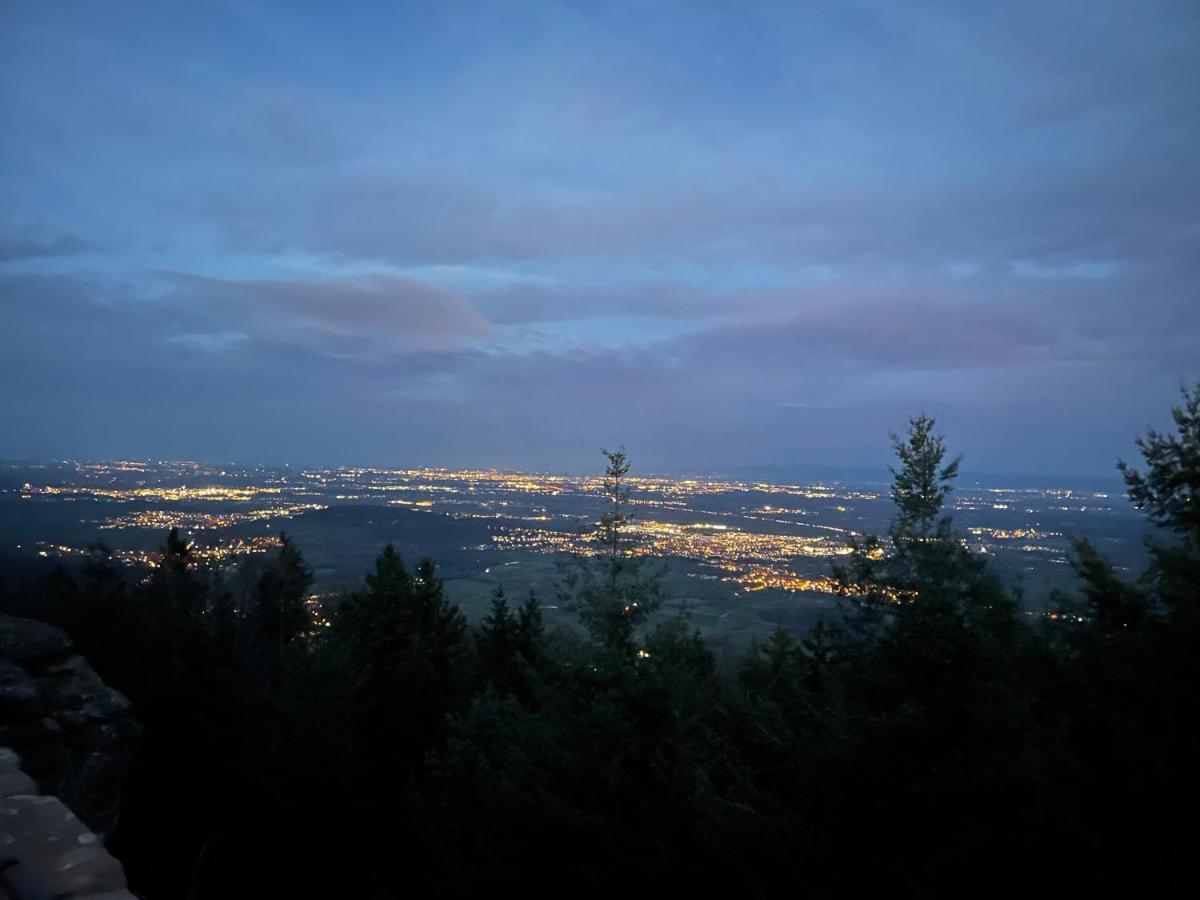 Charmant Studio En Pleine Nature Klingenthal エクステリア 写真