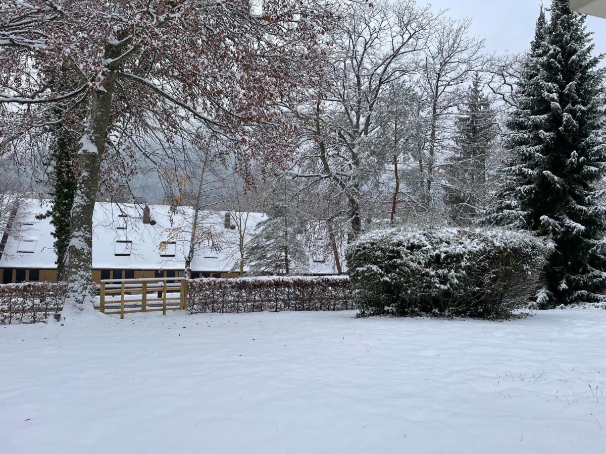 Charmant Studio En Pleine Nature Klingenthal エクステリア 写真